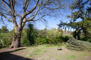 Old Charlie Youngs_Garden- click for photo gallery